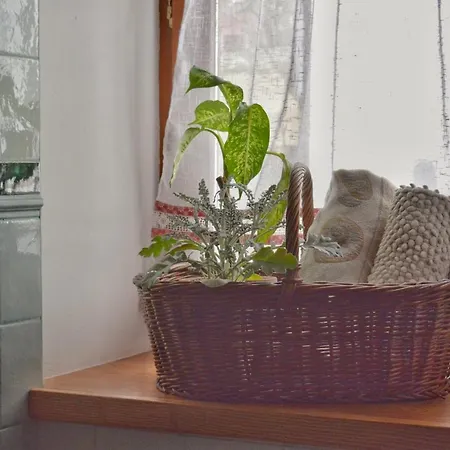 Apartma 10th Mountain, Apartment