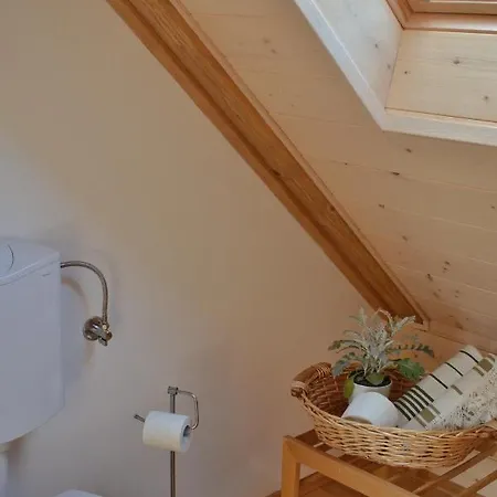 Apartma 10th Mountain, Apartment Bovec